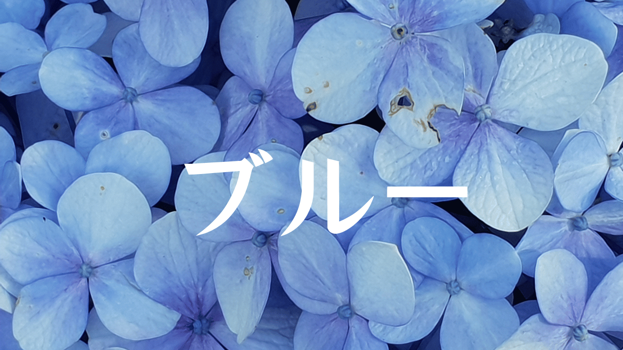 見出しを追加 (16).png