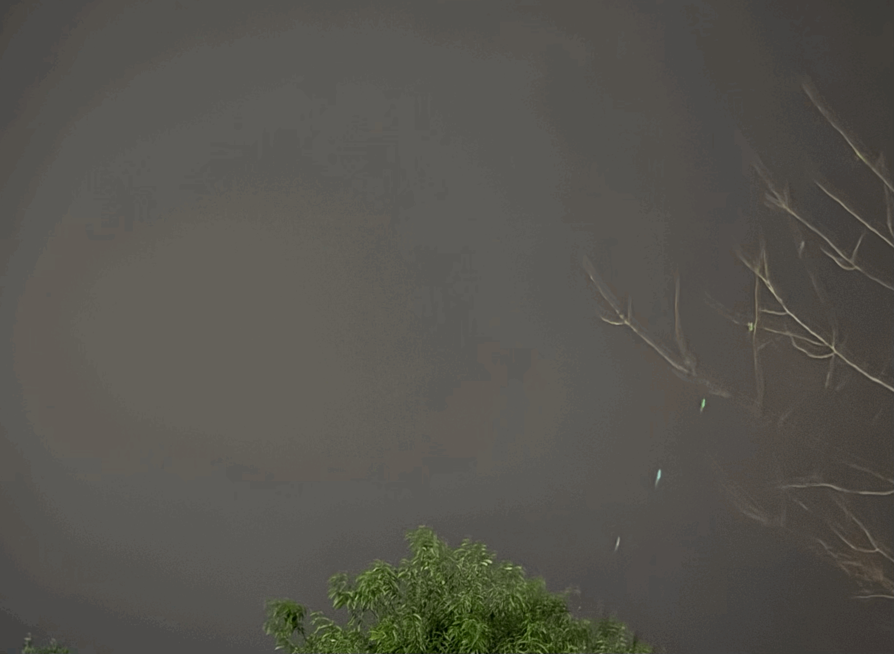 tempImage7vbTrD.gif