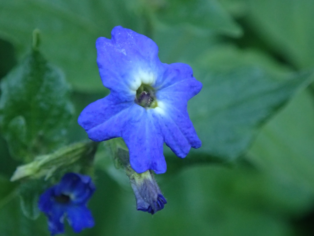 PA101419.JPG
