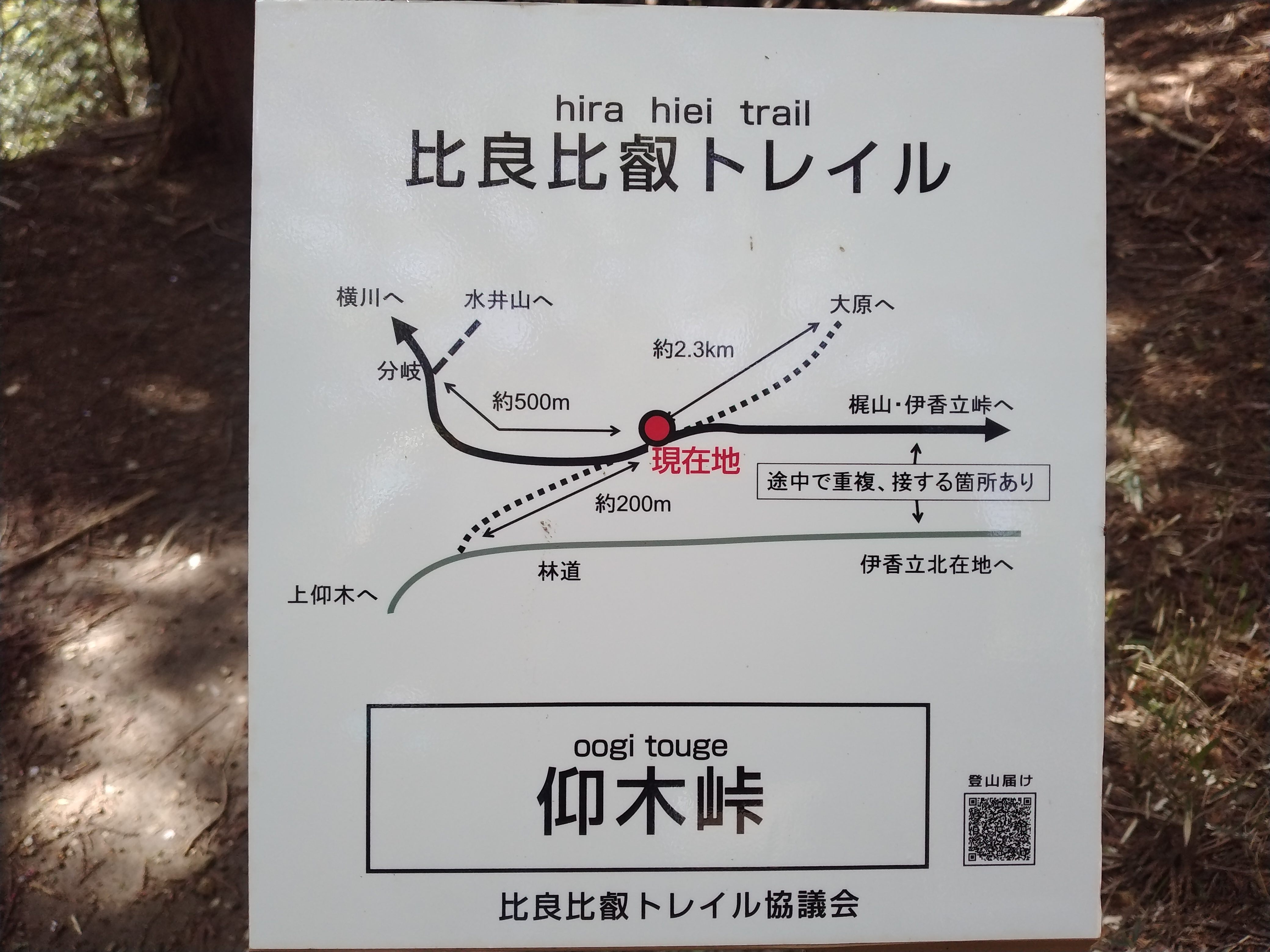 05E1208F-B0C0-4592-A063-FCFE08580D64.jpeg