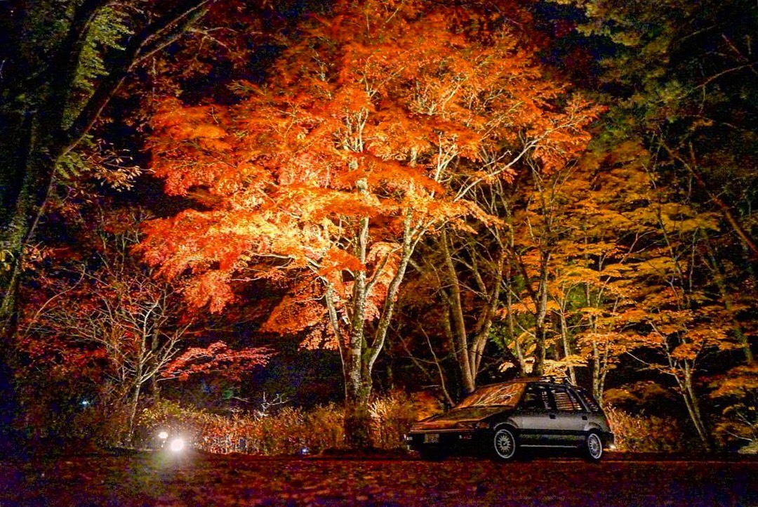 S__241270795.jpg
