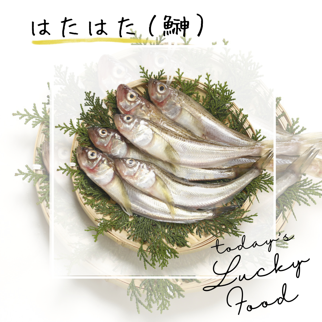はたはた.png
