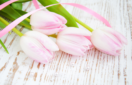 Fotolia_50475883_XS.jpg