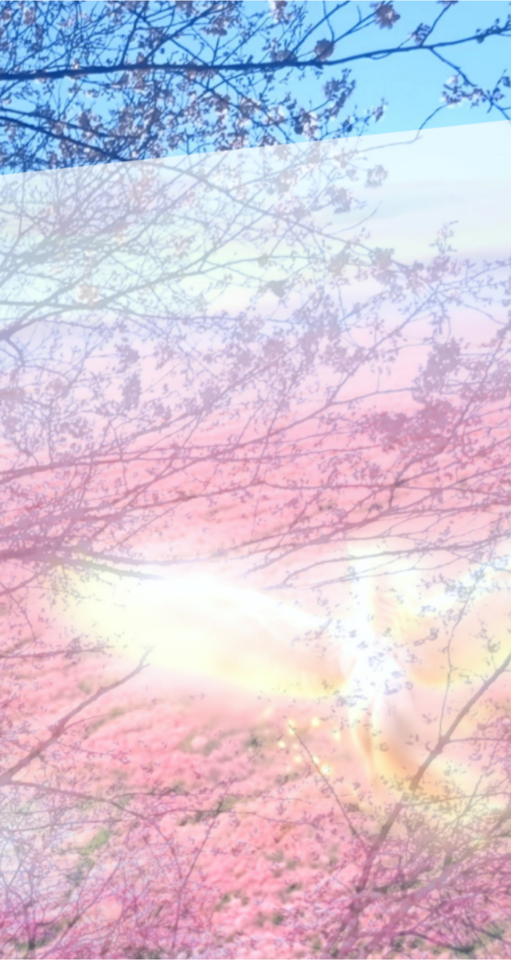 sketch-1774394958874.png