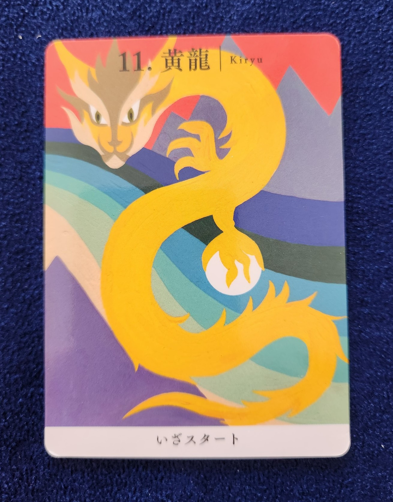 20231021_114228 (002).jpg