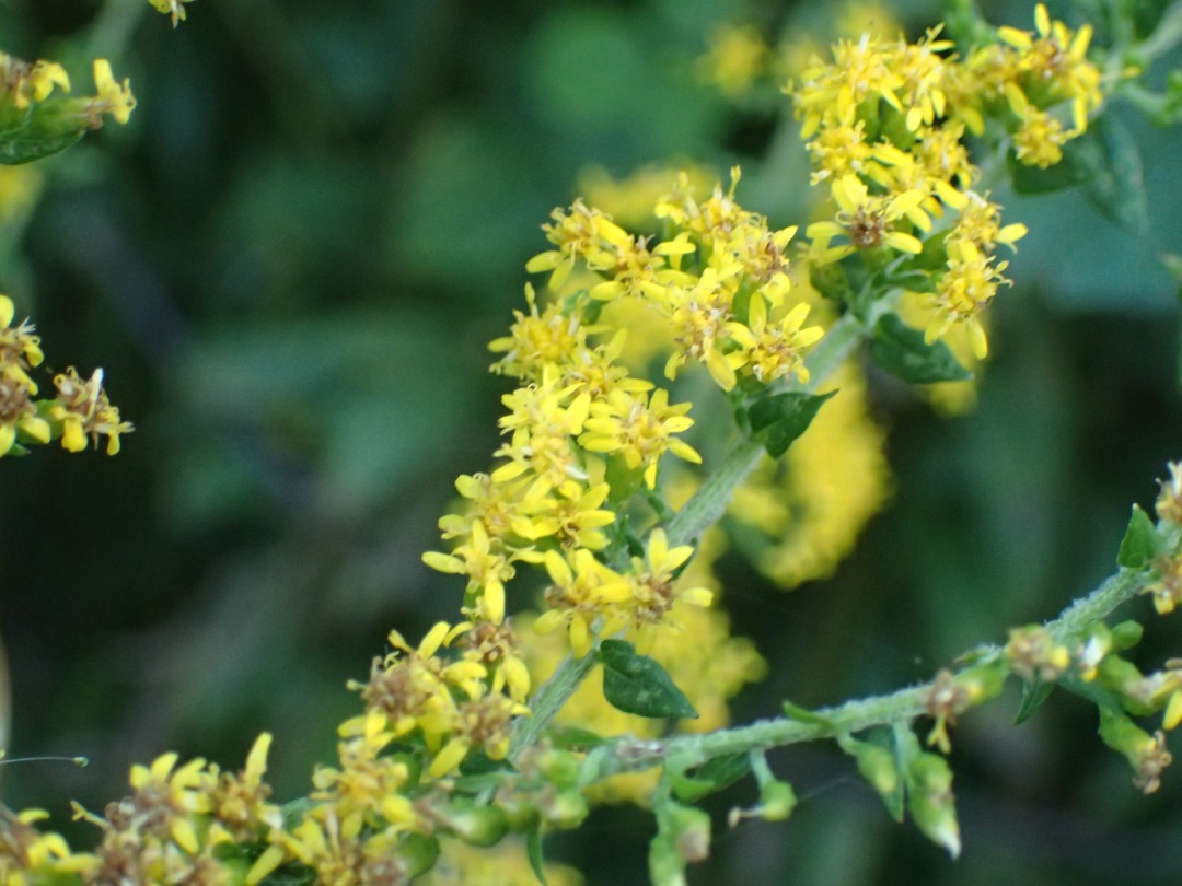 PA101635.JPG