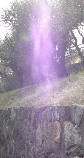 2010d0-01.jpg