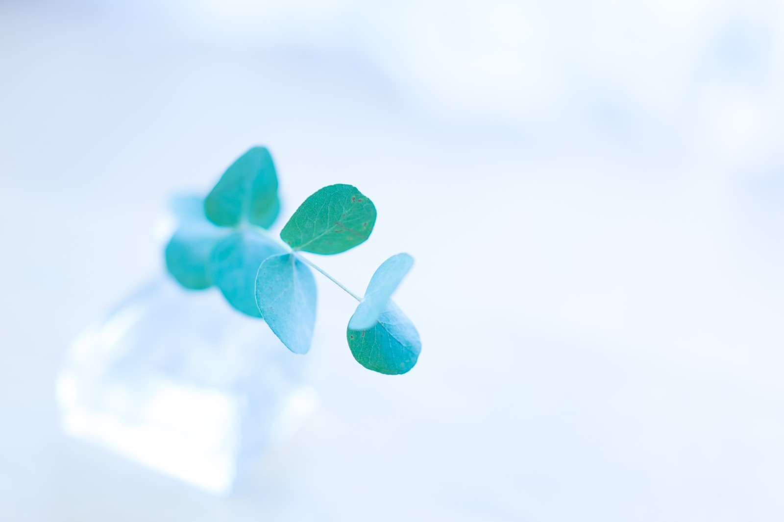 イメージ (141).jpg