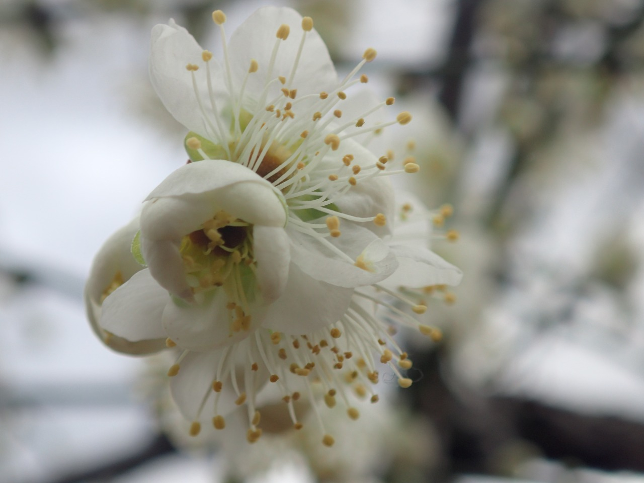 P2180828.JPG