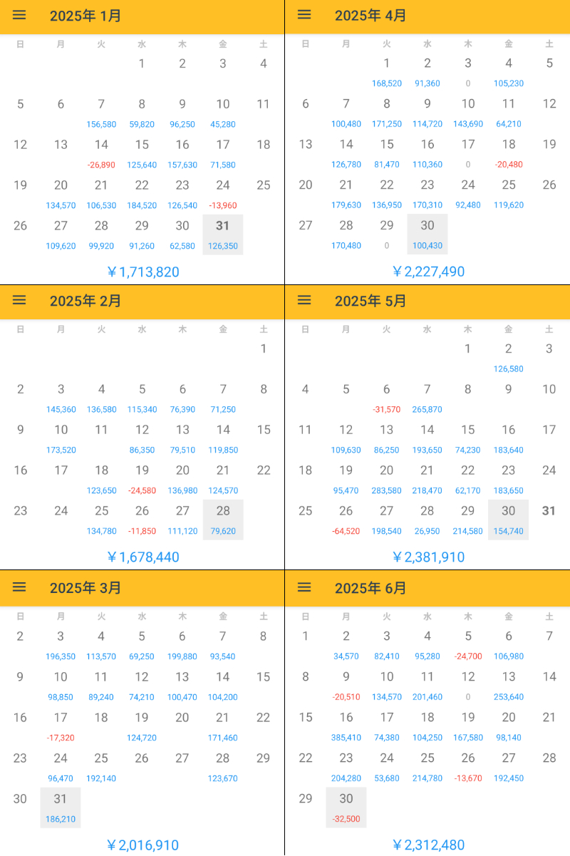 2025.1-6月収支縦.png