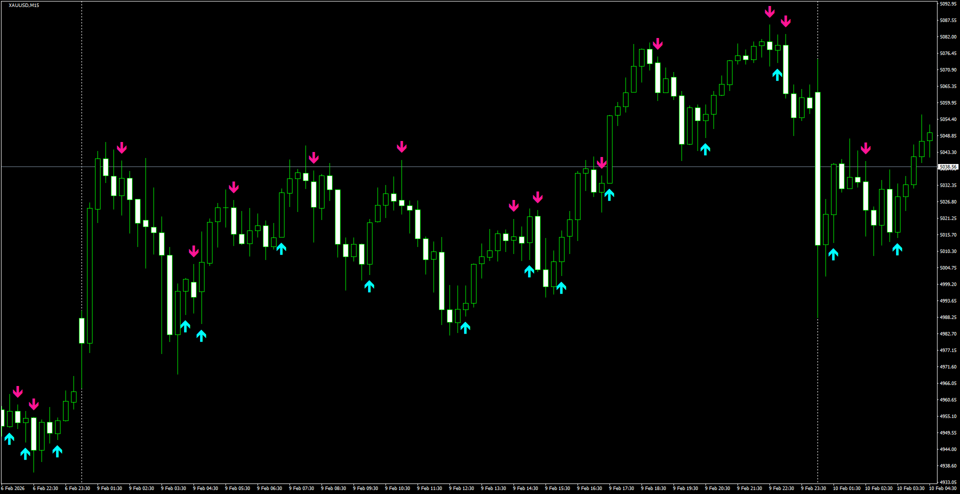 XAUUSD(M15)_2026.02.10_222439.png