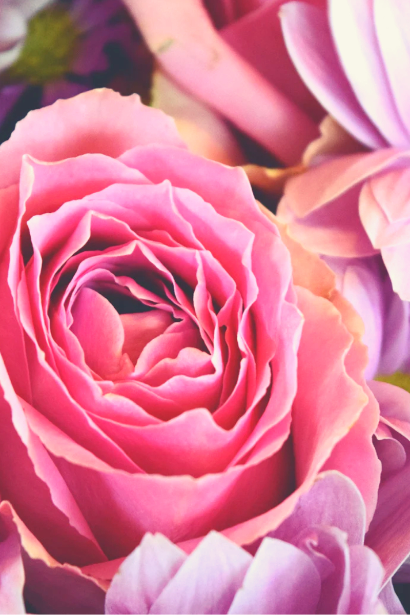 Pink Blush Feminine Blog Graphic .png.png