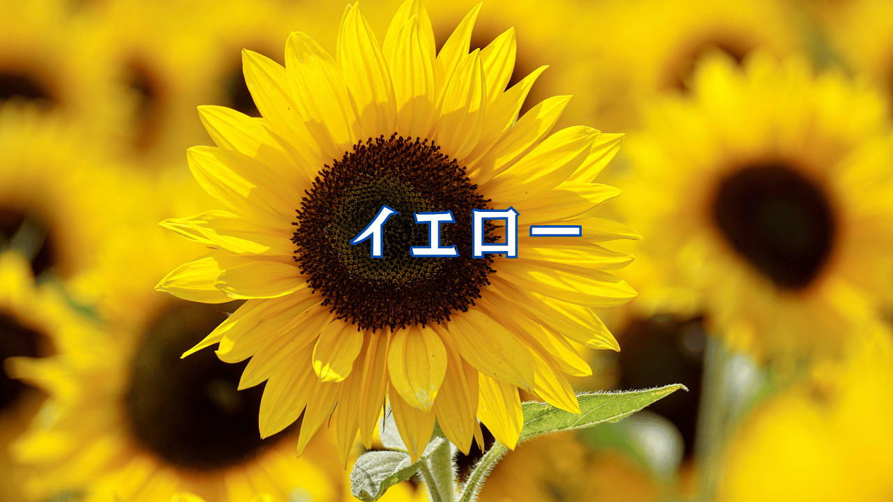 見出しを追加 (58).png