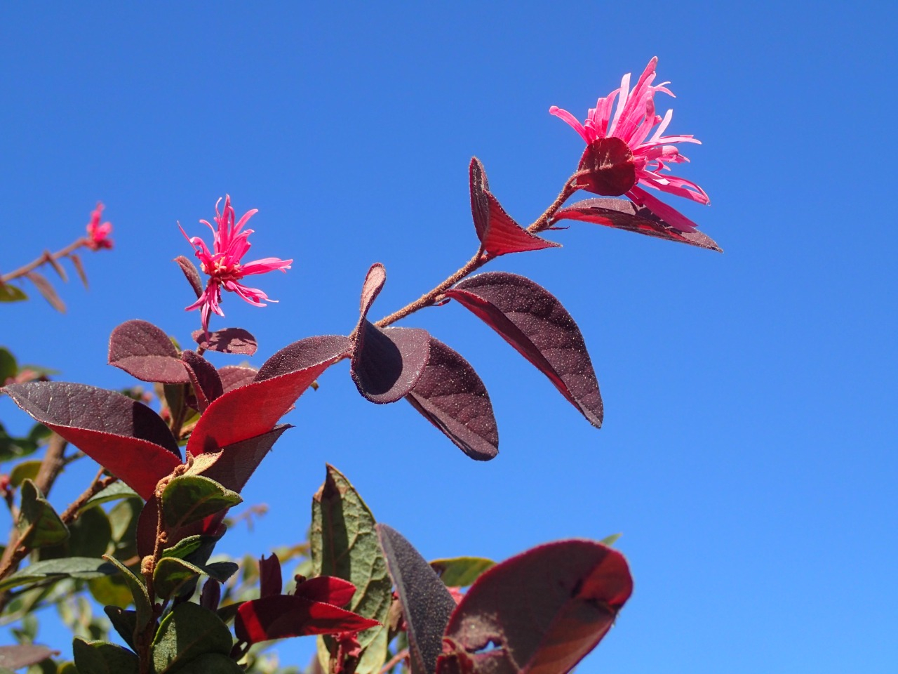 PA220688.JPG