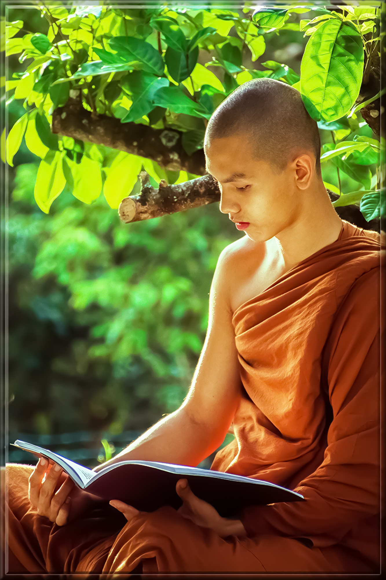 theravada-monk-1750856.jpg