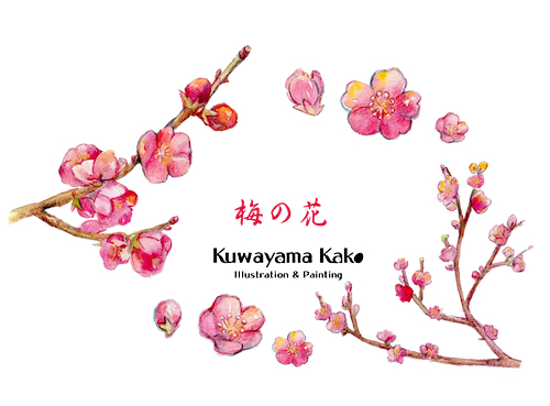 梅の花.png
