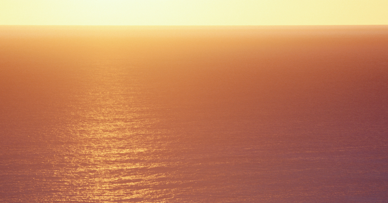 note ヘッダー (4).png