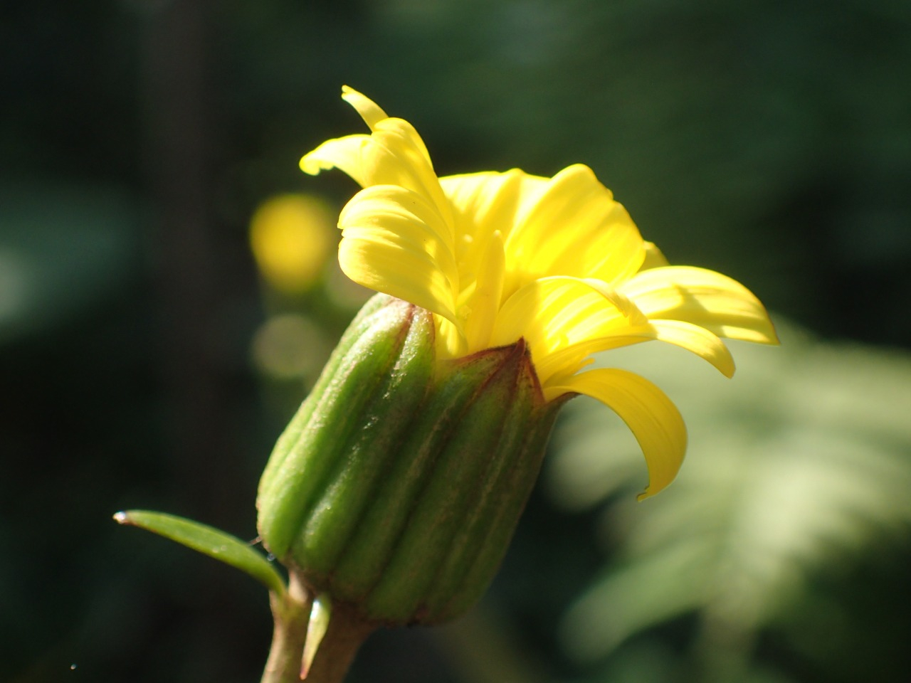 PB160632.JPG
