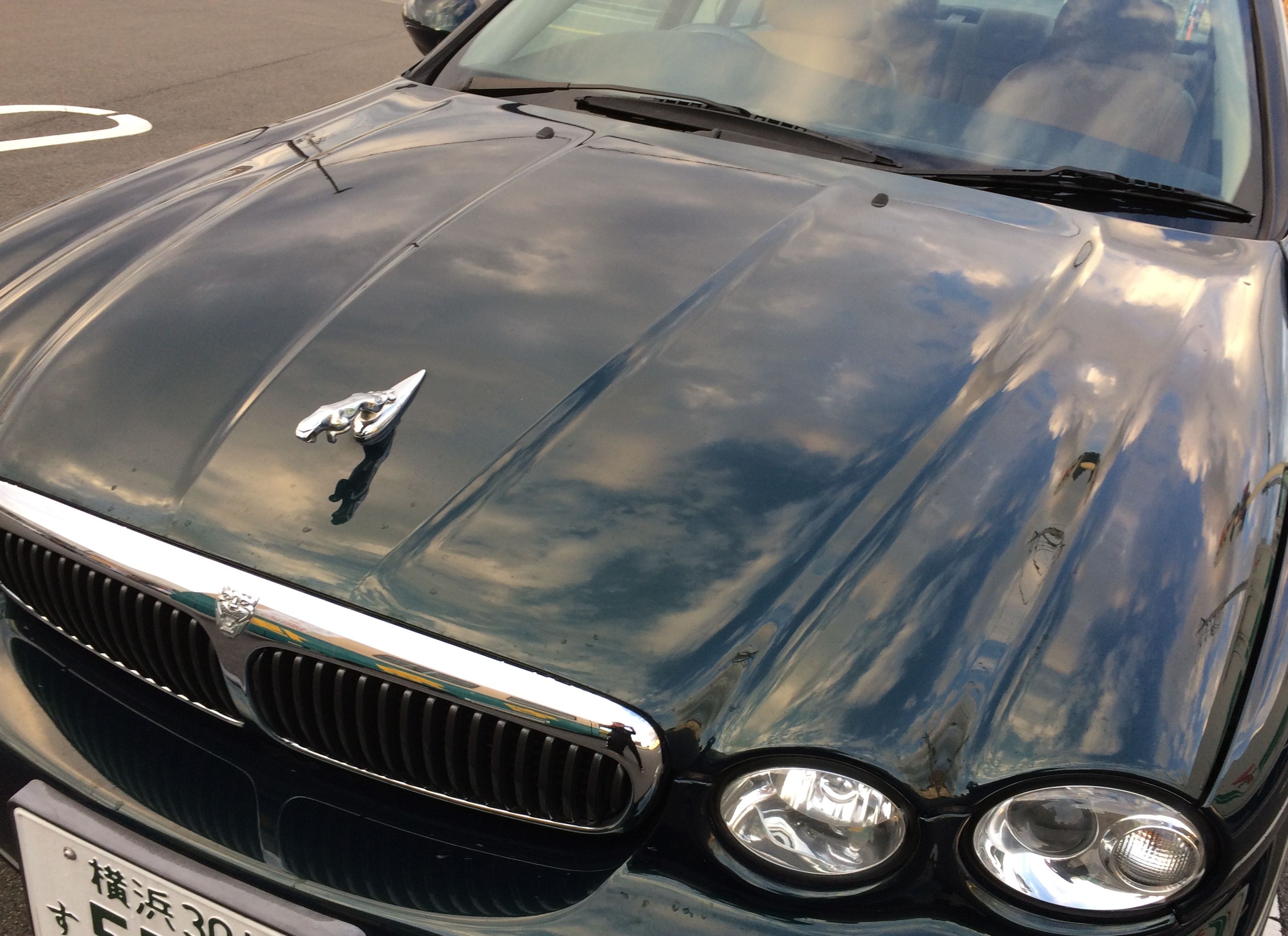MY JAGUAR.jpg
