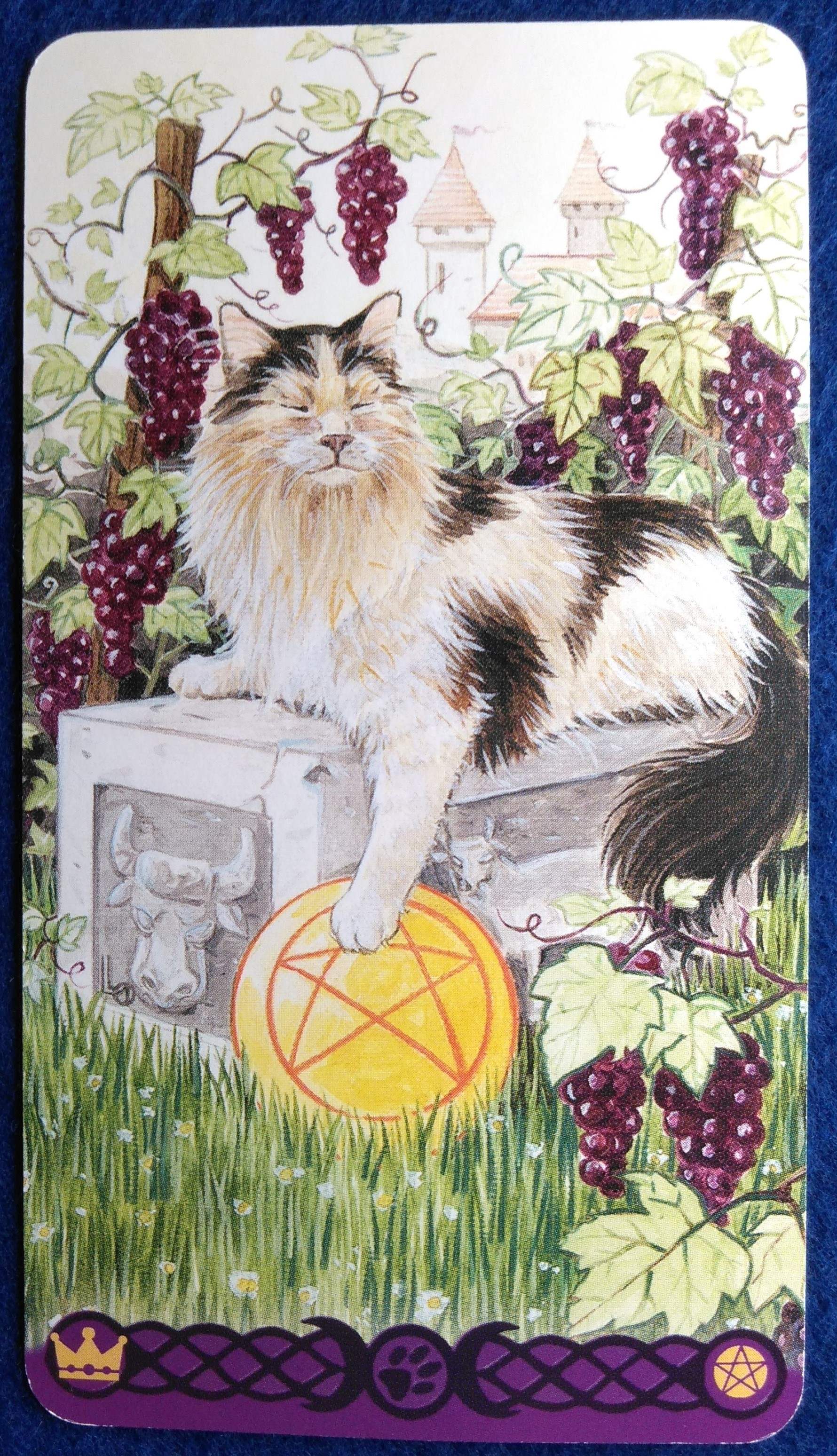 822コピー (2).jpg