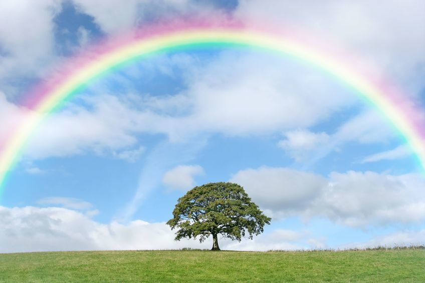 stockfoto_2375600_S.jpg