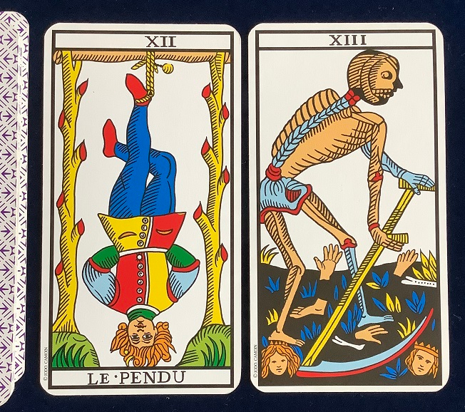 20230907.jpg