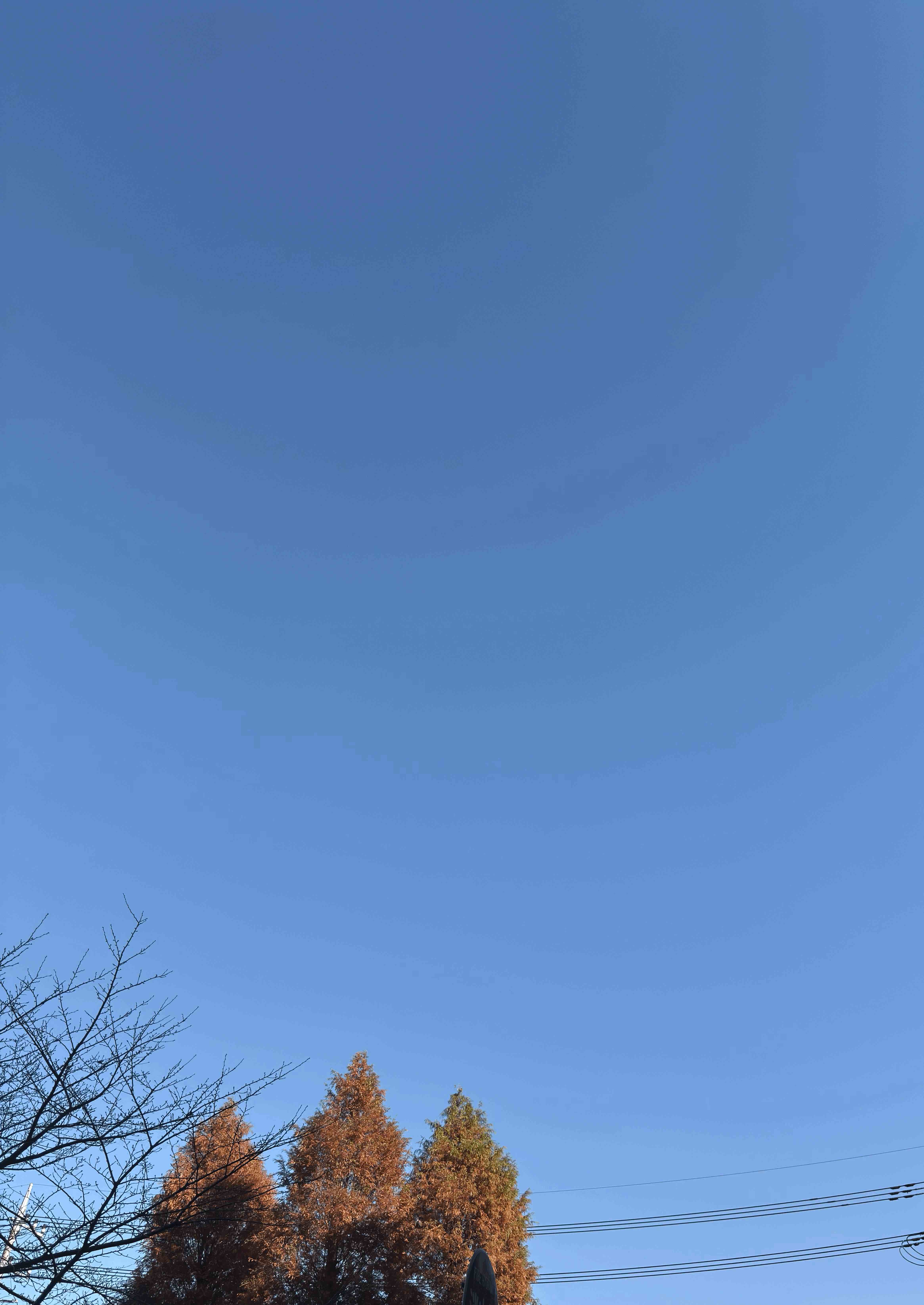 tempImagerluX40.gif