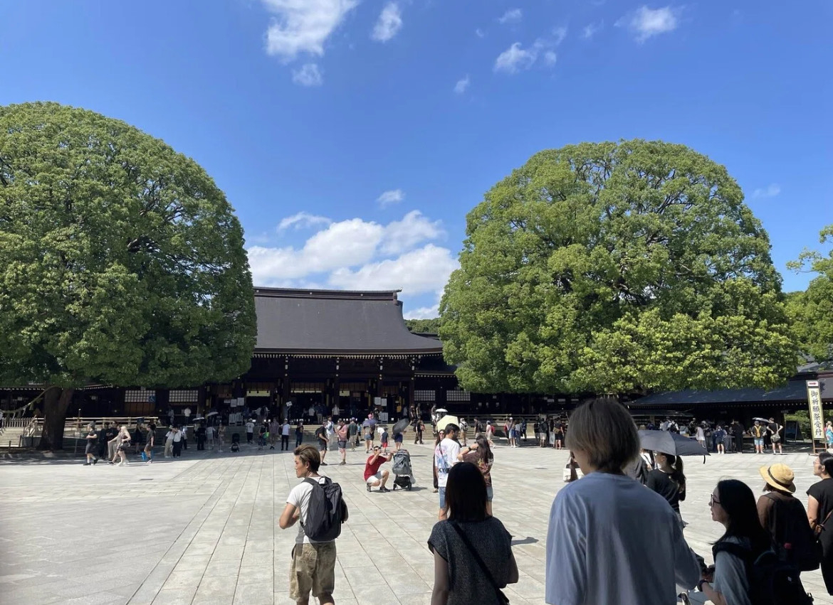 IMG_0137.jpeg