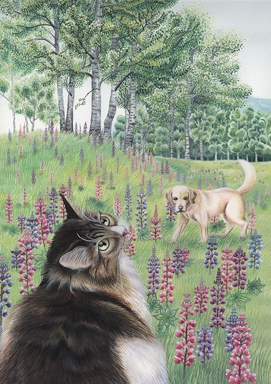 lupine4.jpg