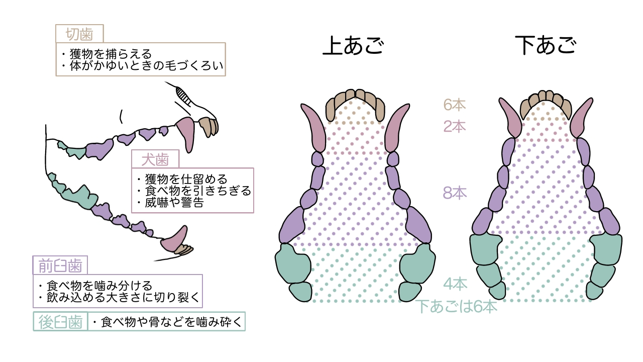 無題341_20241203214412.jpeg