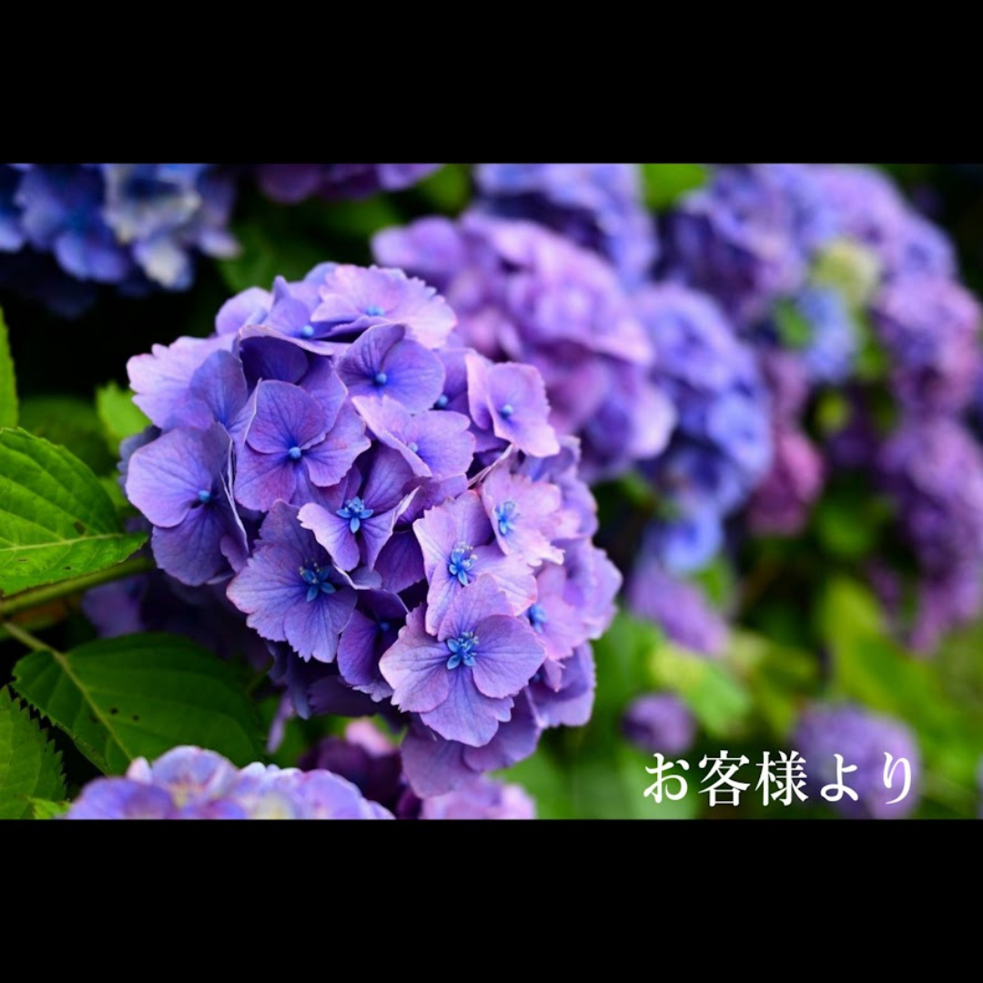 名称未設定のデザイン (8).png