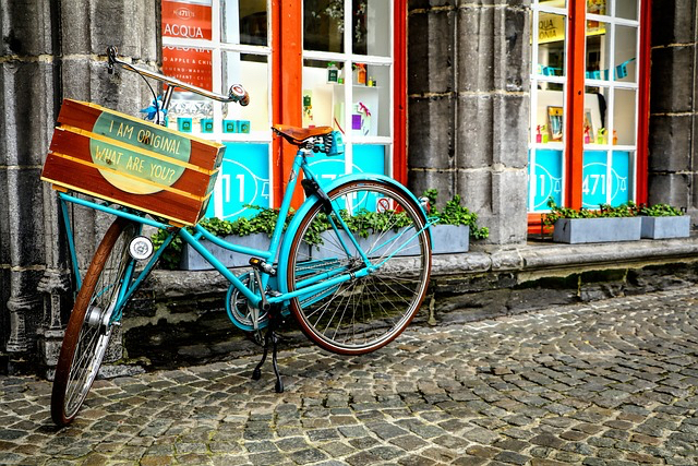 belgian-g3a01df6f7_640.jpg