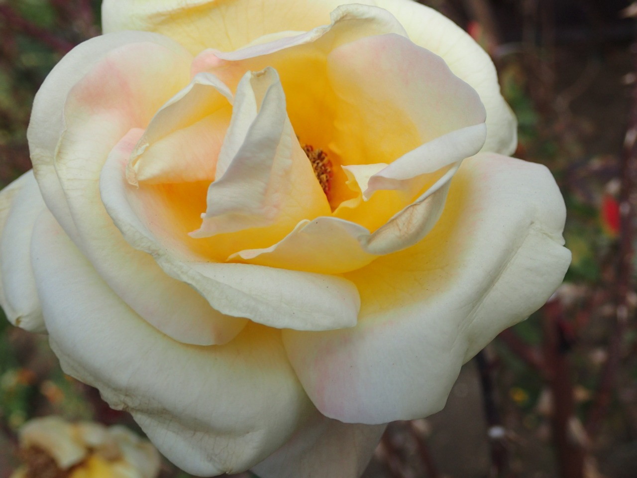 PC220618.JPG