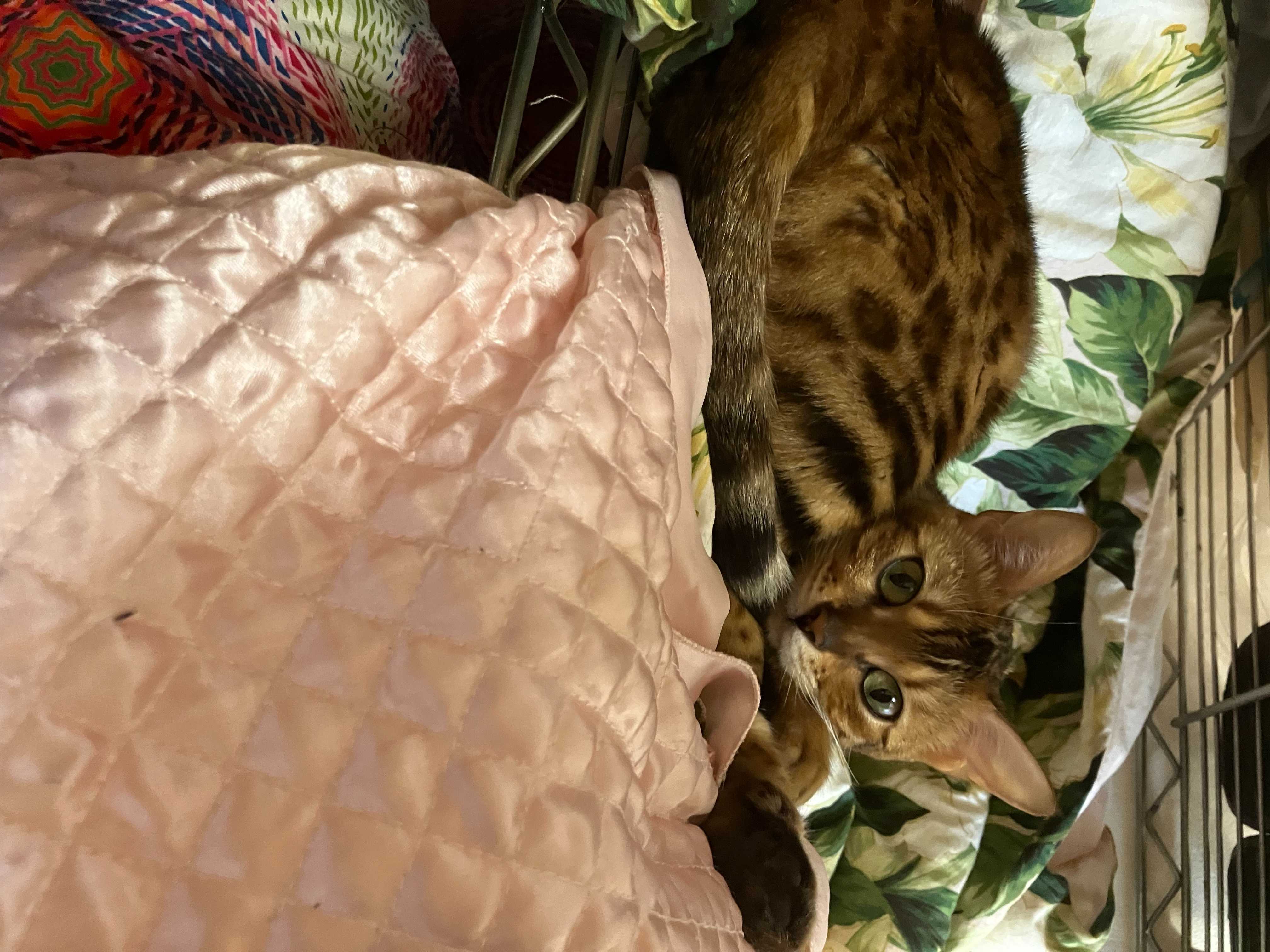 今日のアオ.jpg