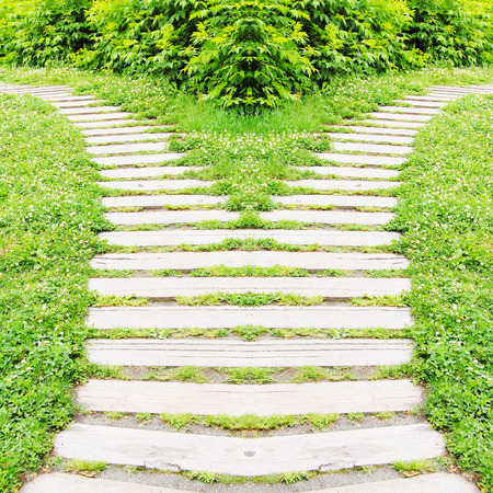 分かれ道.jpg