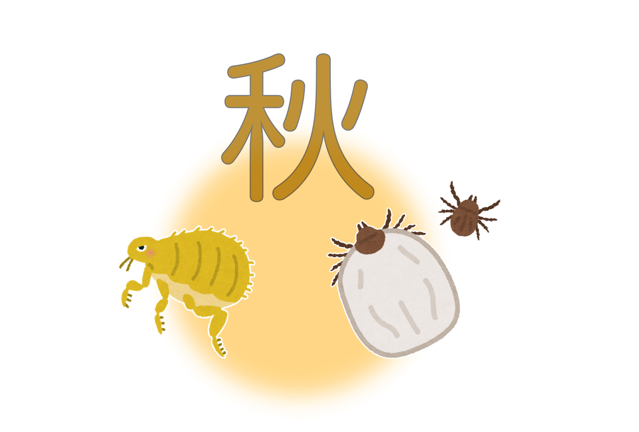 IMG_2071.png