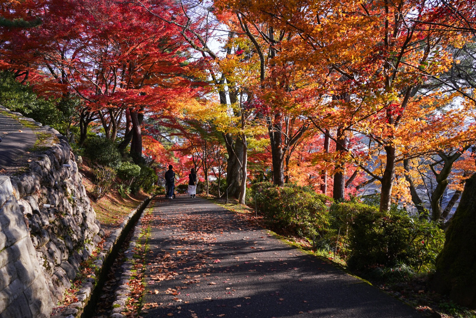 紅葉１.jpg