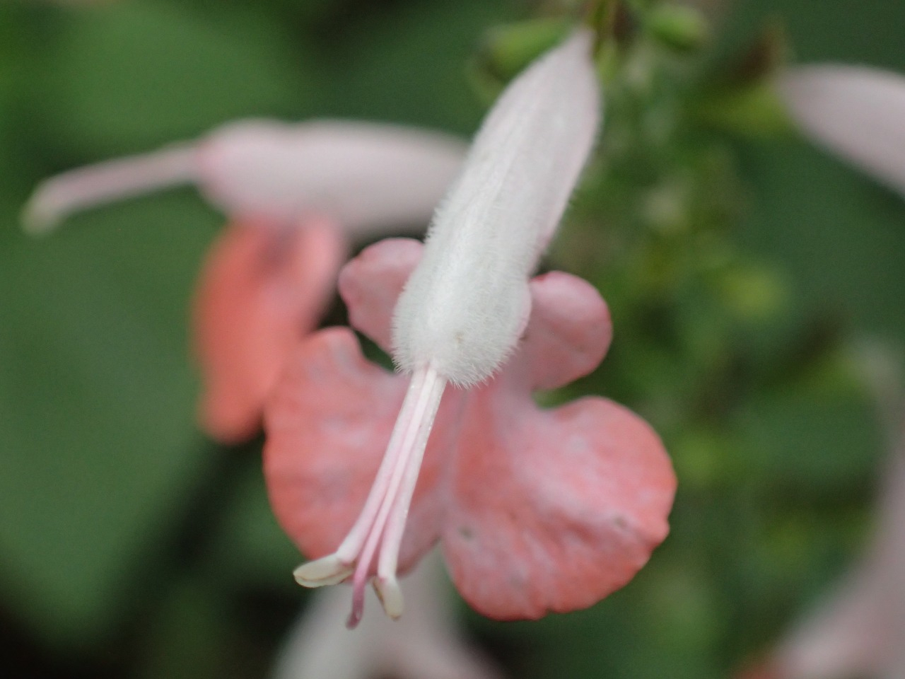 PA260644.JPG