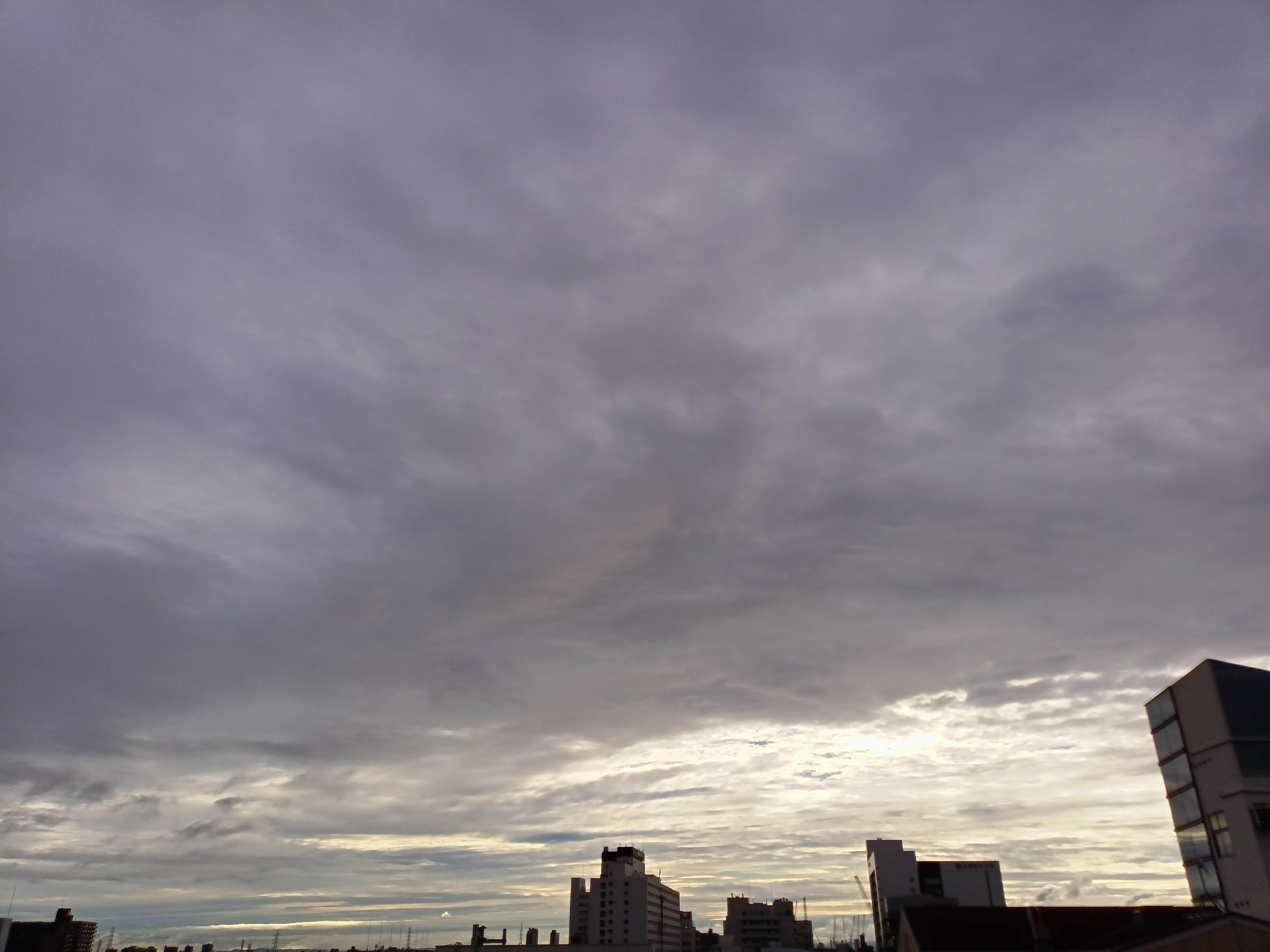 IMG_20241008_073747_197.jpg
