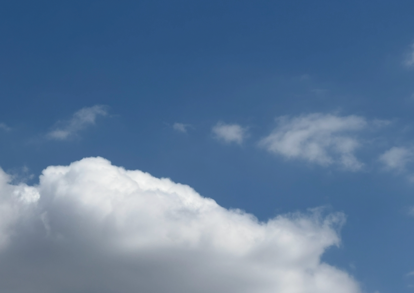 最新の写真を表示 11.png