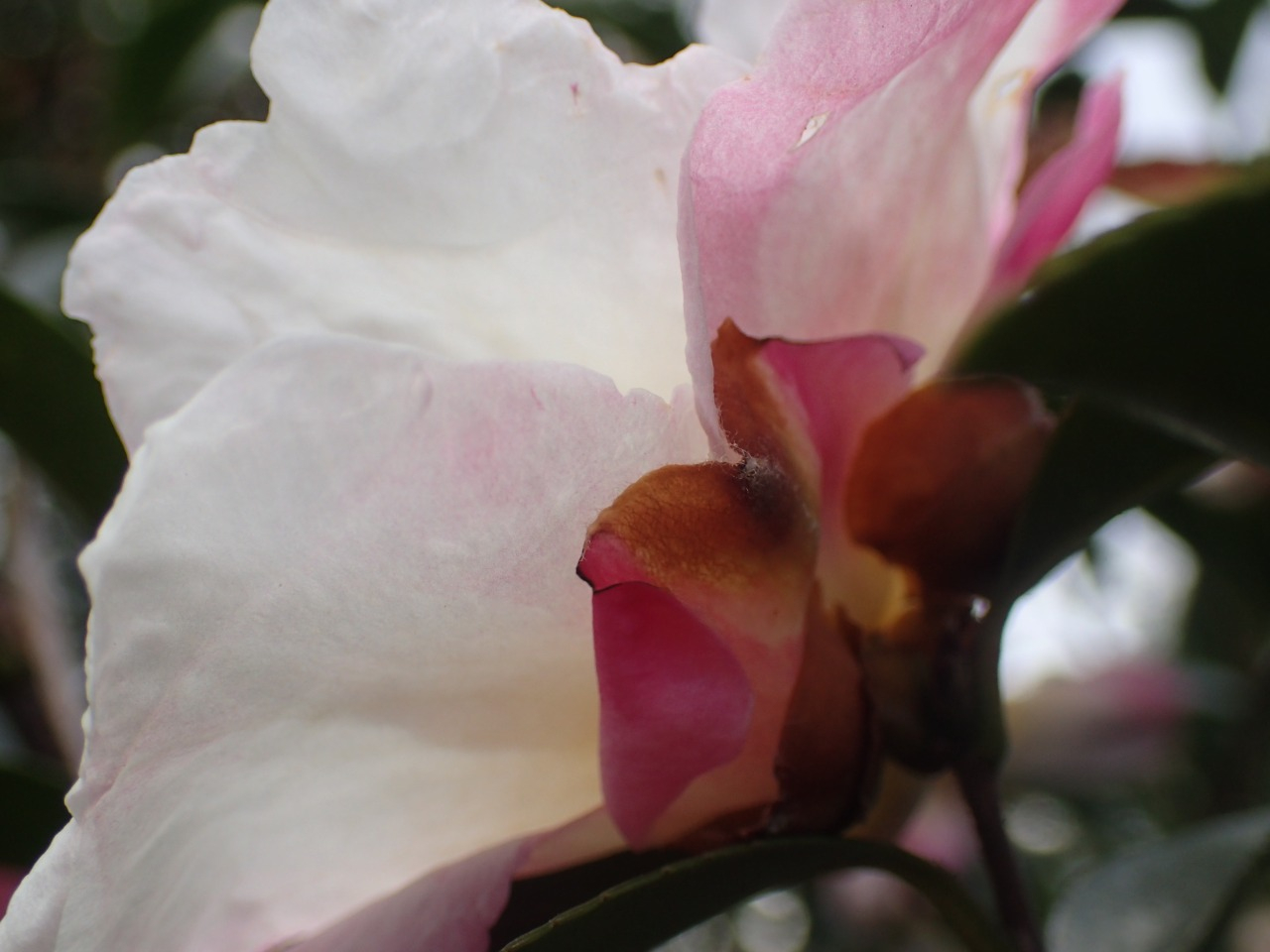 PC220277.JPG
