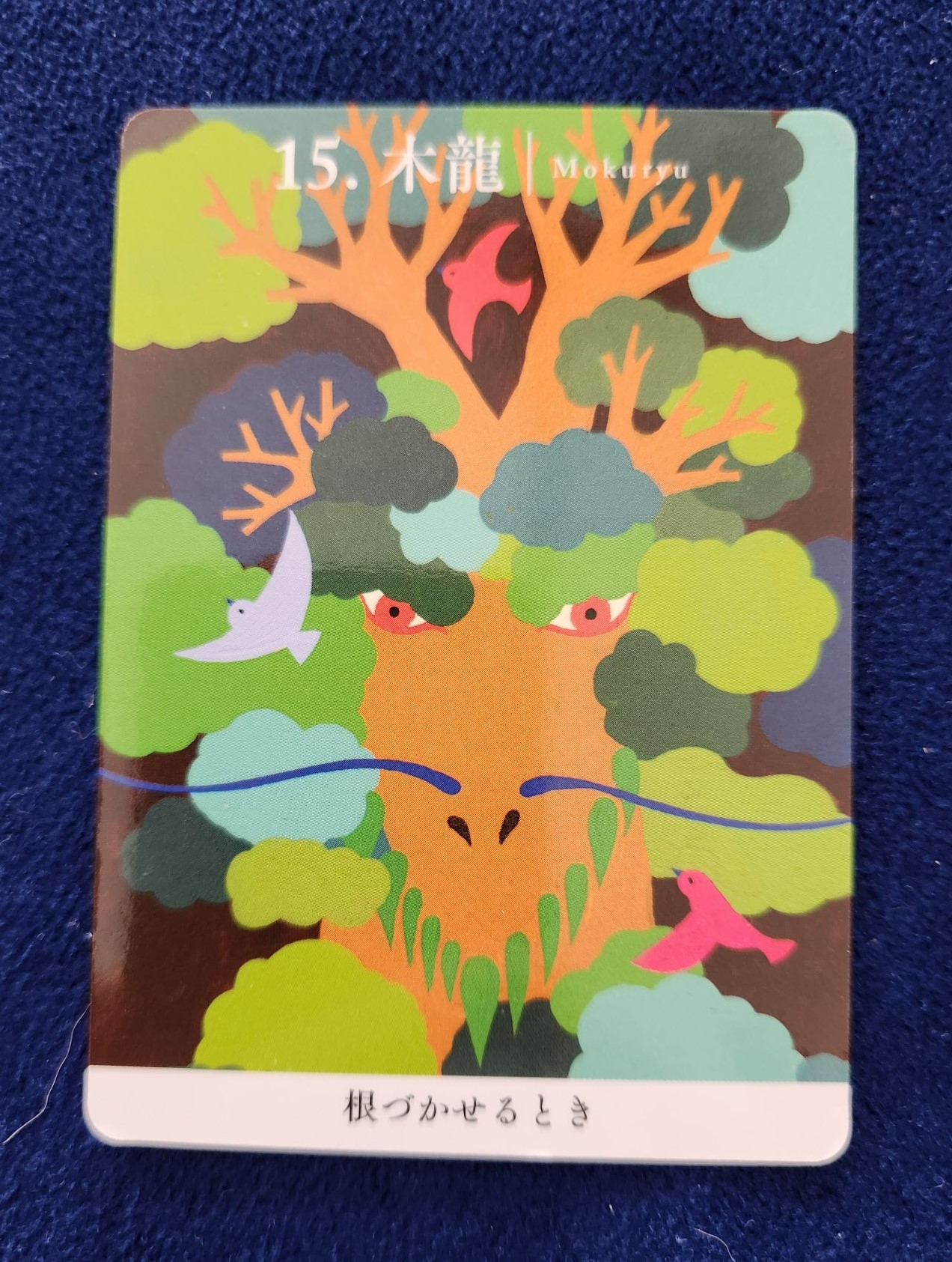 20231022_111437 (002).jpg