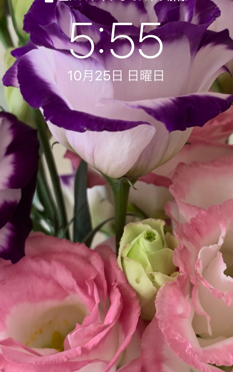 image0 (2) - コピー.jpeg