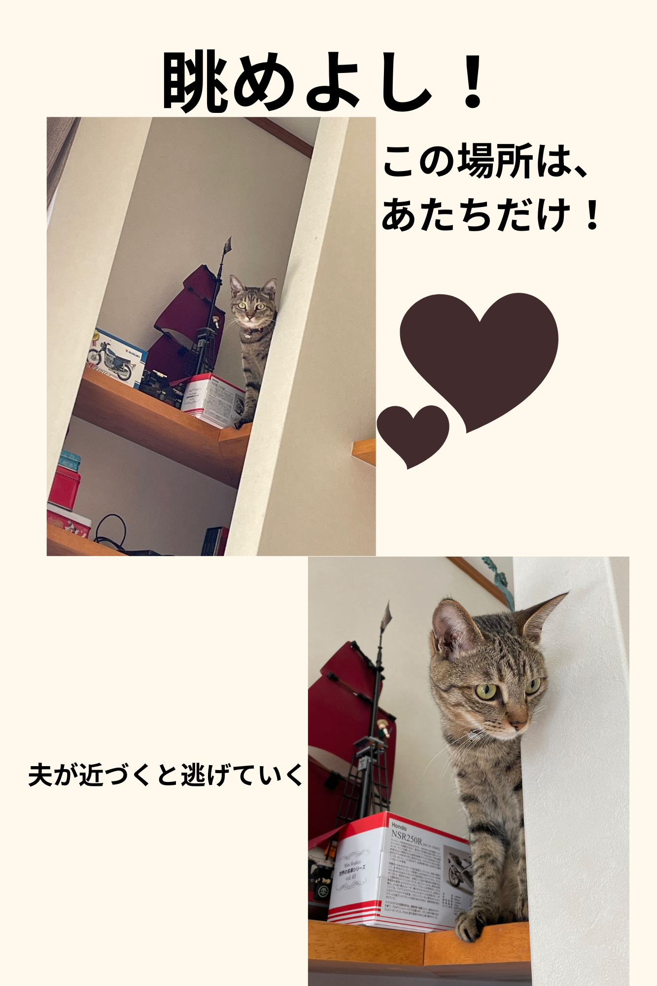 くちゃい！ (3).png