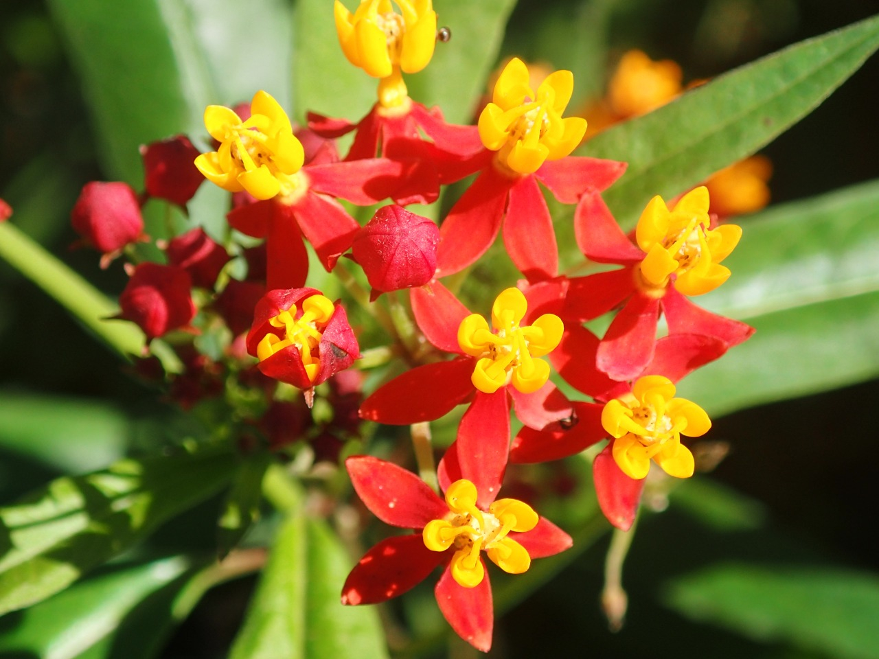 PA120715.JPG