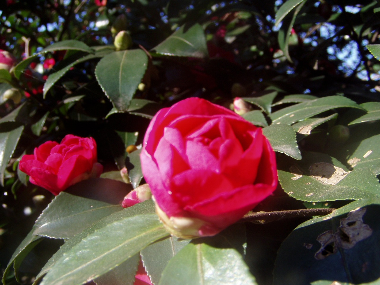 P1010090.JPG