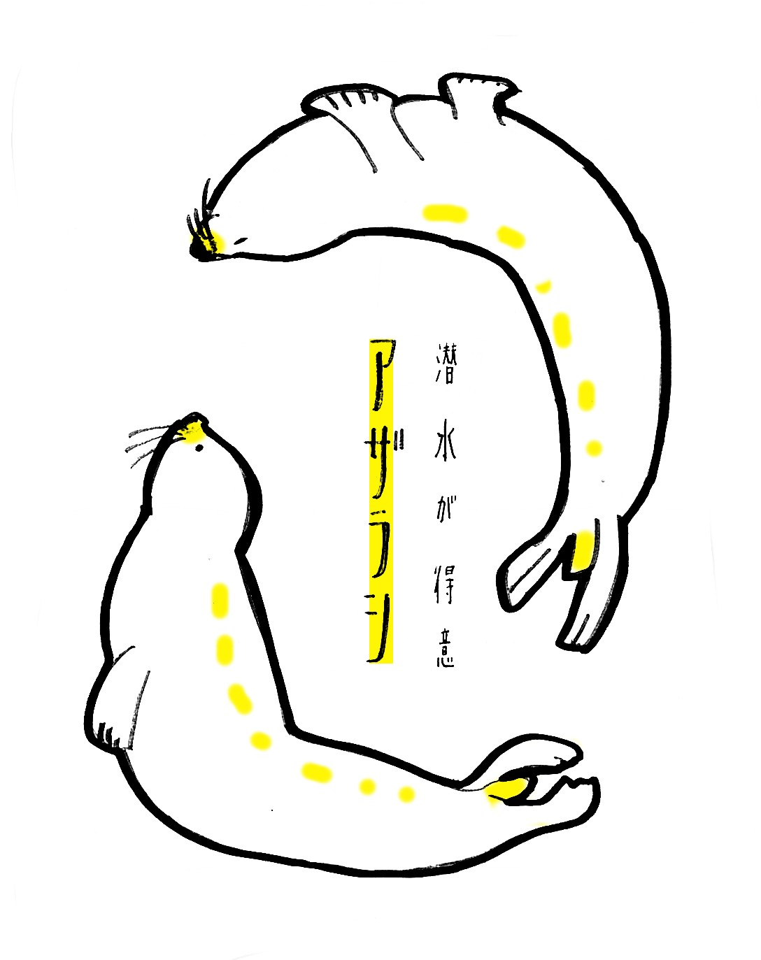 アザラシ.jpg