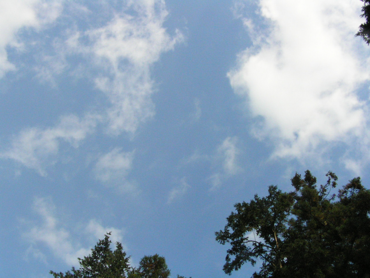PA260072.JPG