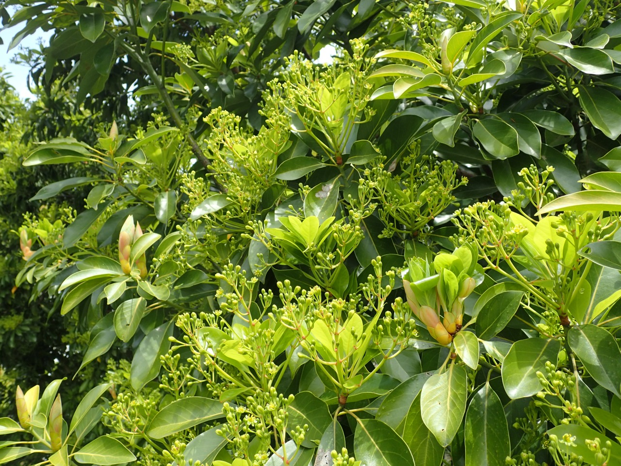 P4130562.JPG