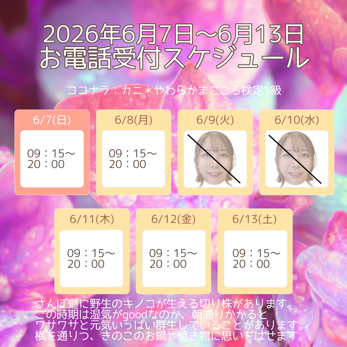 週間スケジュール - 新ひな形.png